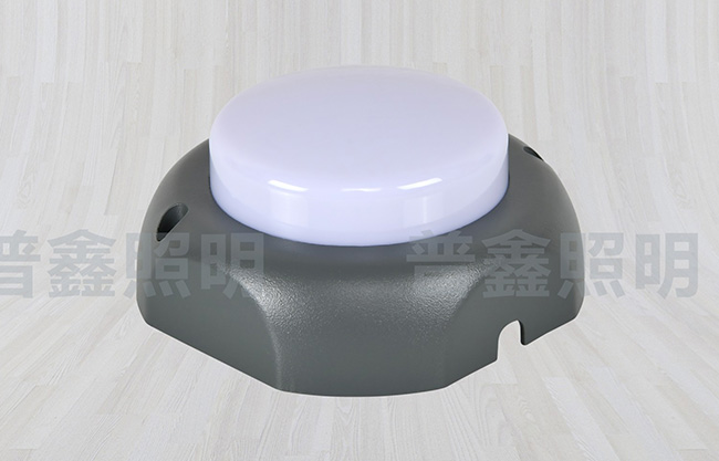 點(diǎn)光源系列 DGY-019