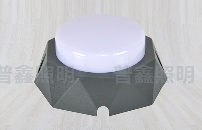 點(diǎn)光源系列 DGY-024