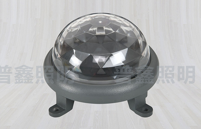 點(diǎn)光源系列 DGY-025