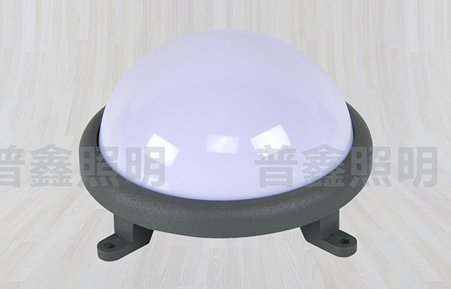 點(diǎn)光源系列 DGY-027