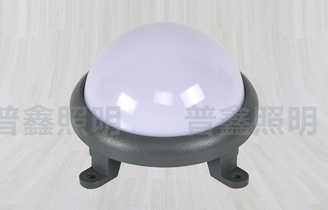 點(diǎn)光源系列 DGY-027