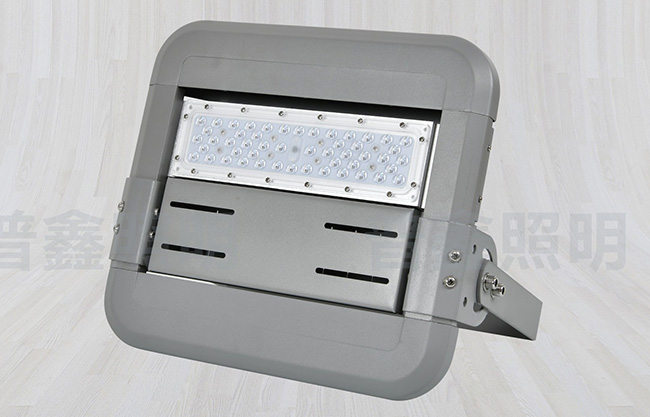 隧道燈系列 SDD-006