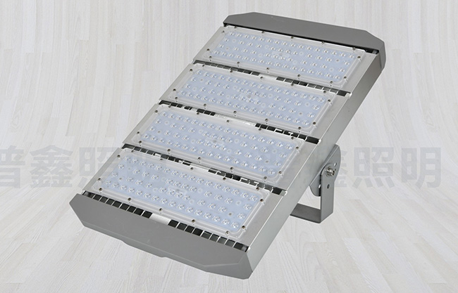 隧道燈系列 SDD-008